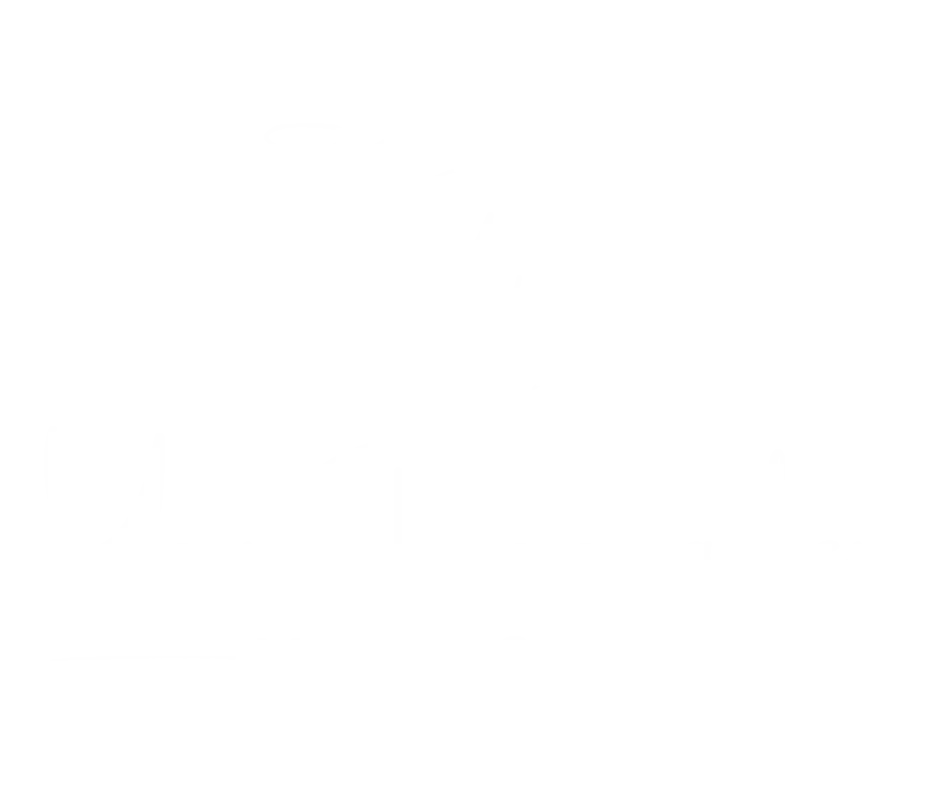 Logo Yourphotographer_blanc