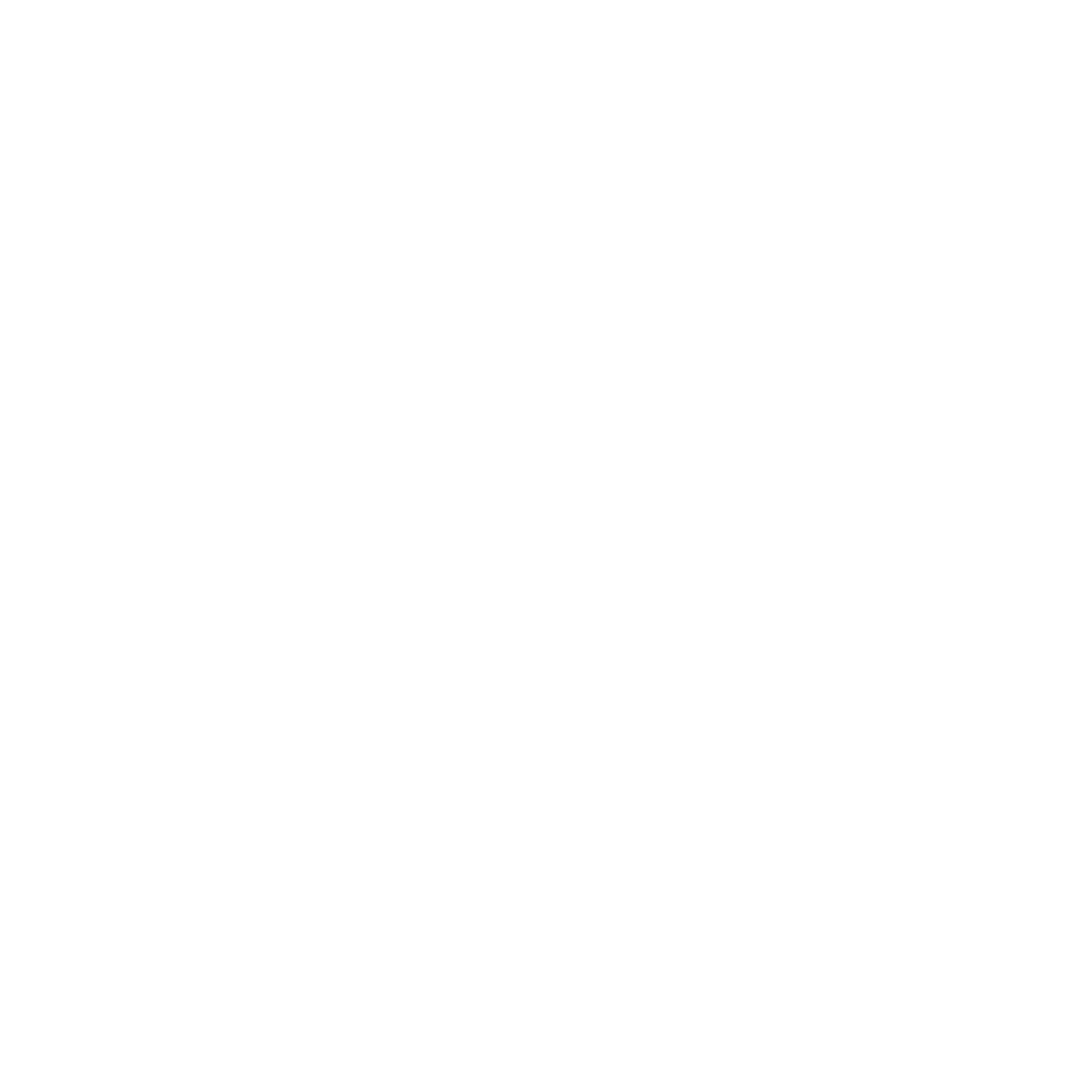 Logo blanc YourphotographerMG 2026