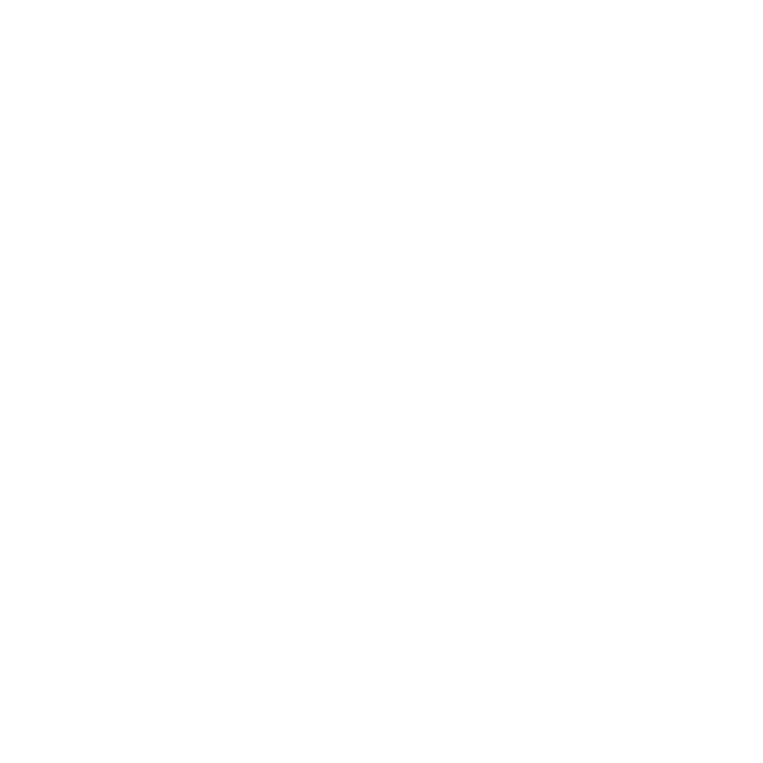 Logo blanc YourphotographerMG 2026